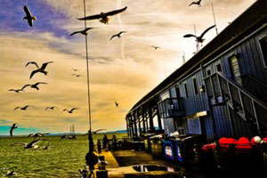 无限拨打短信软件